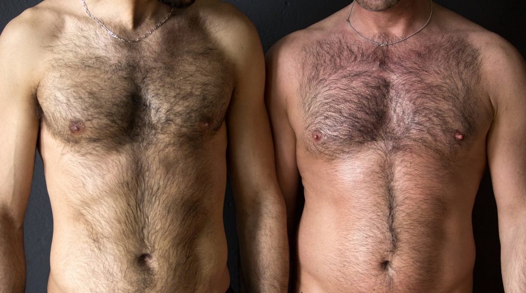 two otter men with hairy chest